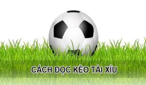 Cách Chơi Kèo Tài Xỉu Hiệu Quả Với Tư Duy Phân Tích Thực Chiến​