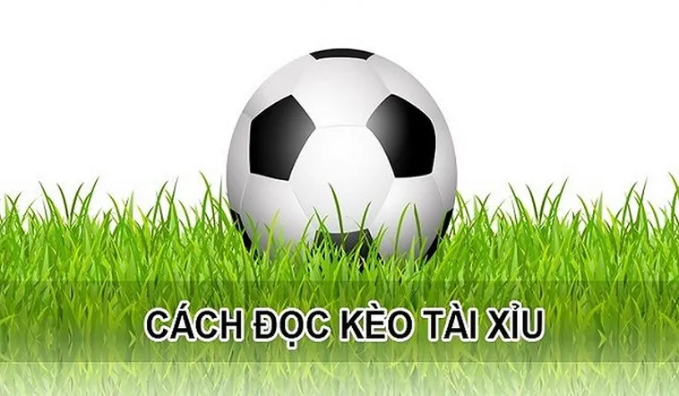 Cách Chơi Kèo Tài Xỉu Hiệu Quả Với Tư Duy Phân Tích Thực Chiến​