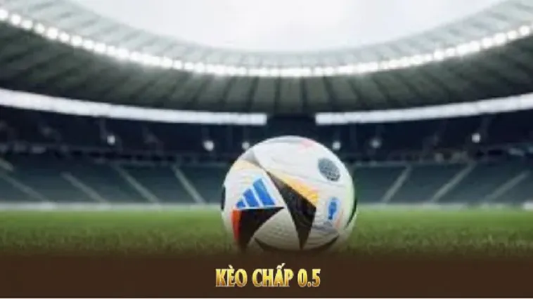 Cách Chơi Kèo Chấp 0.5 Chi Tiết Và Bí Quyết Giúp Tăng Tỷ Lệ Thắng Ổn Định