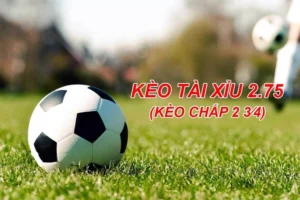 Cách Chơi Kèo 2.75 Hiểu Chính Xác Cách Tính Và Kinh Nghiệm Đặt Cược Chuẩn