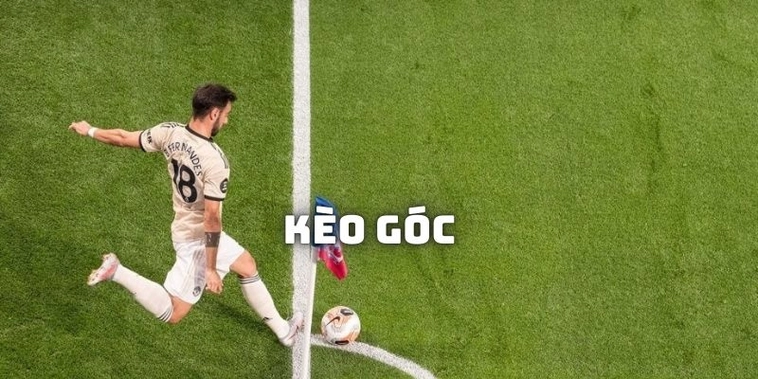 Cách Chơi Kèo Phạt Góc Bóng Đá Chi Tiết Cho Người Mới Tìm Hiểu