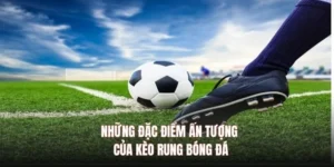 Hướng Dẫn Cách Chơi Kèo Rung Trong Bóng Đá Hiệu Quả Dễ Áp Dụng