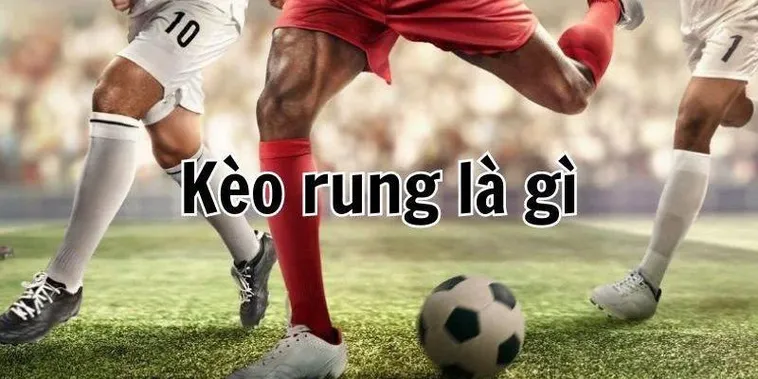 Hướng Dẫn Cách Chơi Kèo Rung Trong Bóng Đá Hiệu Quả Dễ Áp Dụng