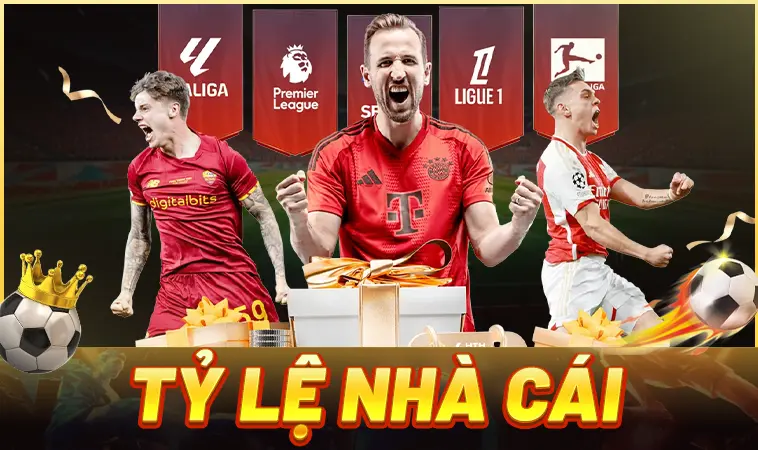 Phân Tích Tỷ Lệ Nhà Cái Chính Xác Nhất Hôm Nay 2026